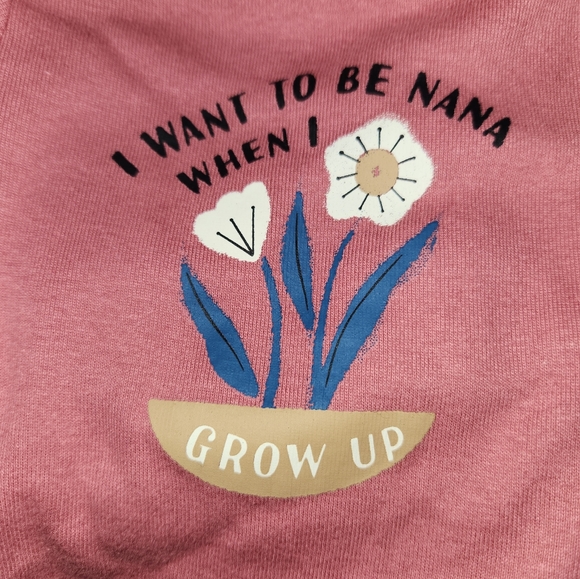 Newborn girls Carter's two-piece onesie set. New with tags! Adorable! Nana! - Picture 4 of 7